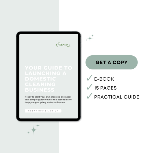 Your Guide to Launching a Domestic Cleaning Business E-Book